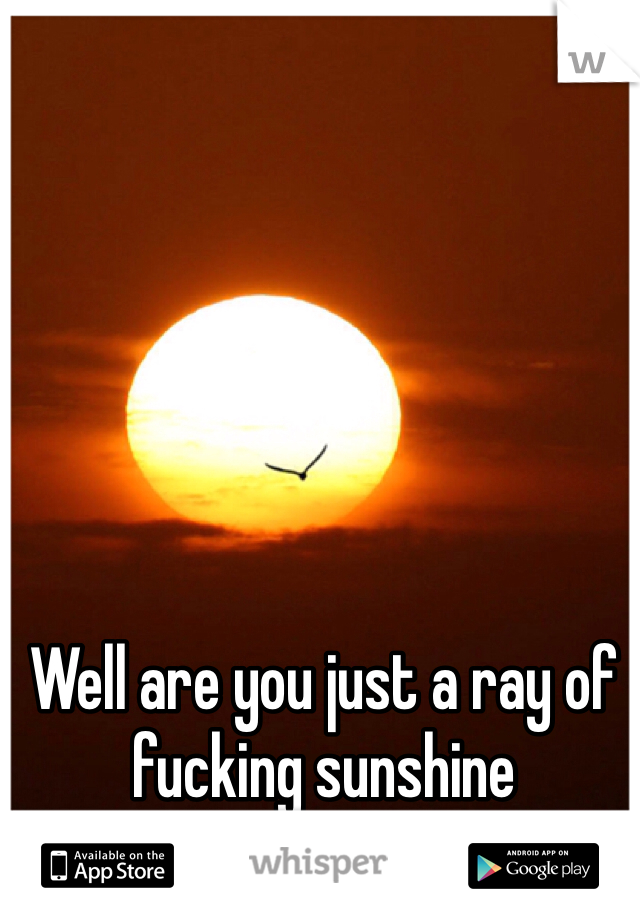 Well are you just a ray of fucking sunshine 