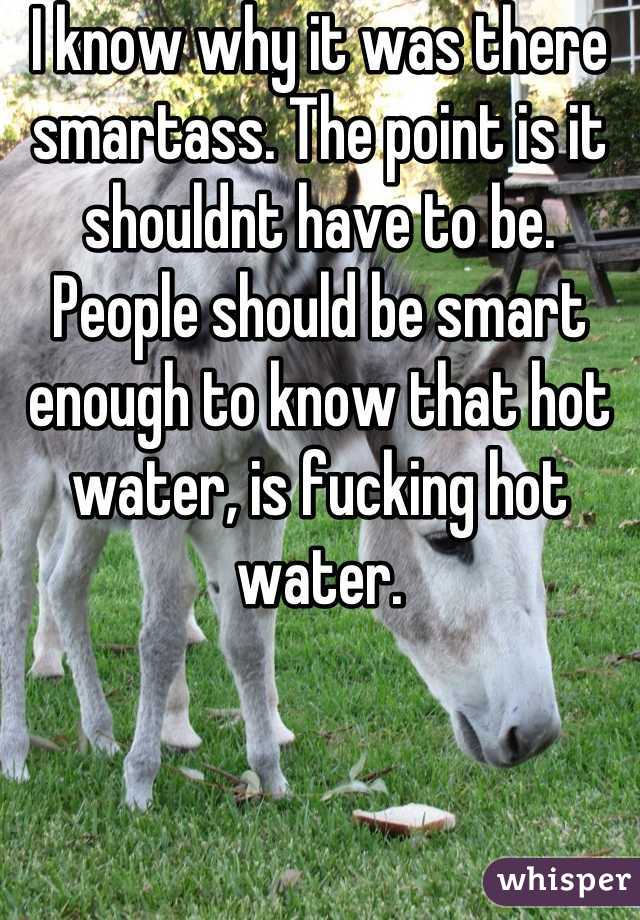 I know why it was there smartass. The point is it shouldnt have to be. People should be smart enough to know that hot water, is fucking hot water.