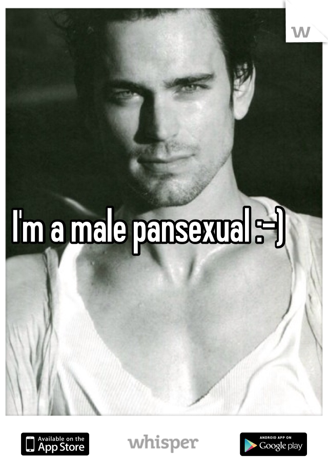 I'm a male pansexual :-)