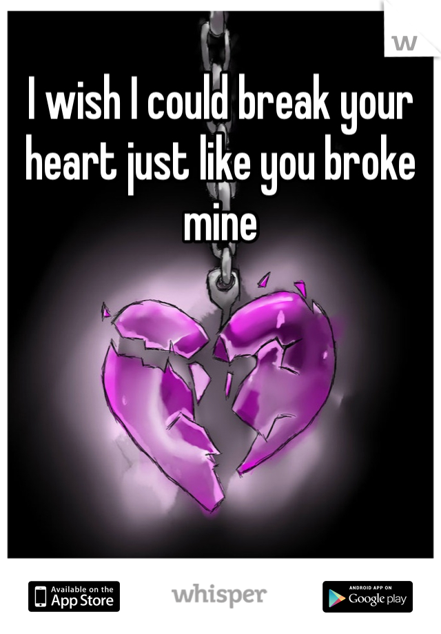 I wish I could break your heart just like you broke mine
