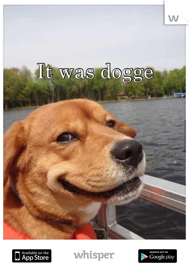 It was dogge 