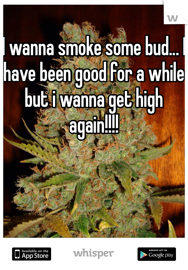 I wanna smoke some bud... I have been good for a while but i wanna get high again!!!!