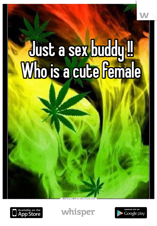 Just a sex buddy !!
Who is a cute female 