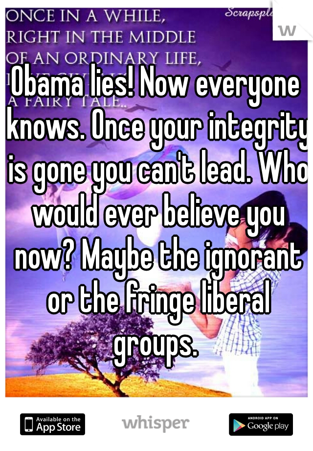 Obama lies! Now everyone knows. Once your integrity is gone you can't lead. Who would ever believe you now? Maybe the ignorant or the fringe liberal groups. 