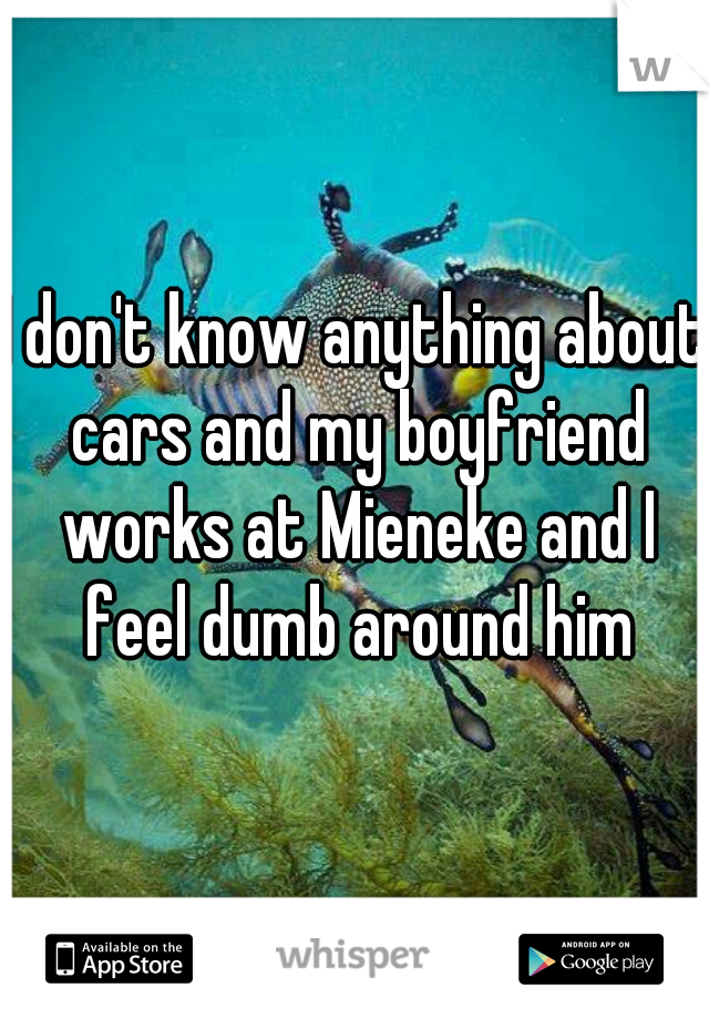 I don't know anything about cars and my boyfriend works at Mieneke and I feel dumb around him