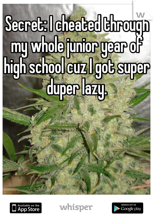 Secret: I cheated through my whole junior year of high school cuz I got super duper lazy.
