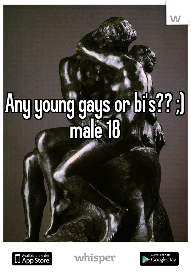 Any young gays or bi's?? ;) male 18 