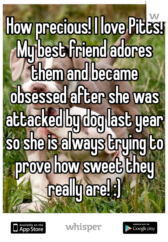How precious! I love Pitts! My best friend adores them and became obsessed after she was attacked by dog last year so she is always trying to prove how sweet they really are! :)