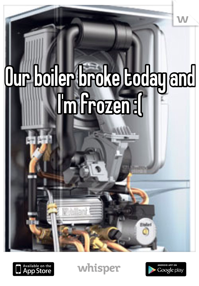 Our boiler broke today and I'm frozen :(