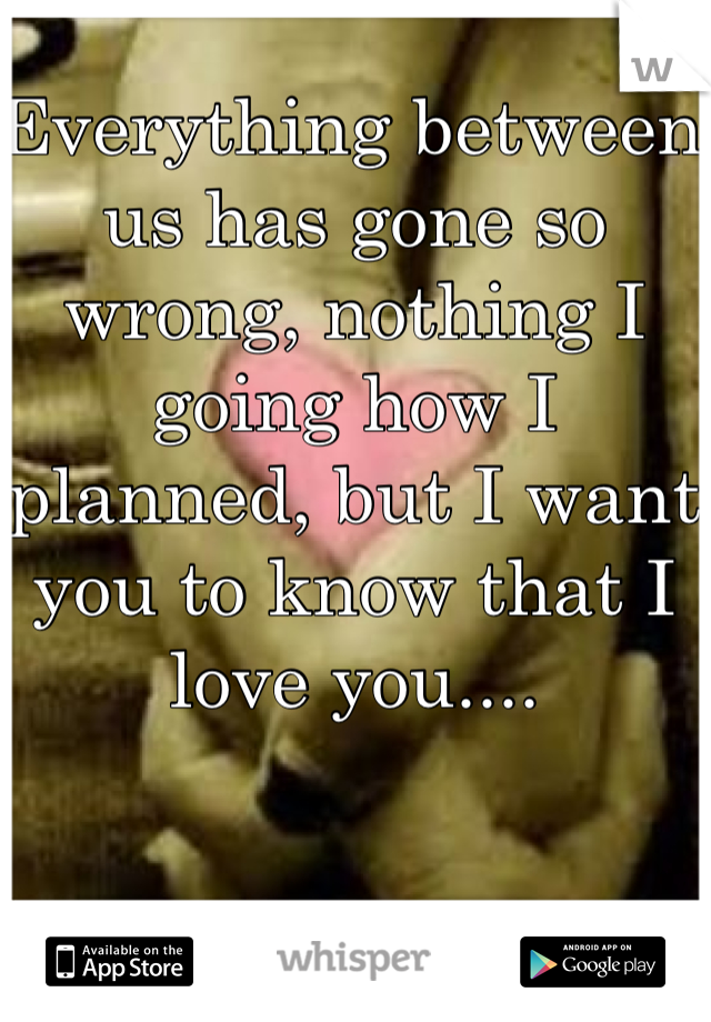 Everything between us has gone so wrong, nothing I going how I planned, but I want you to know that I love you....