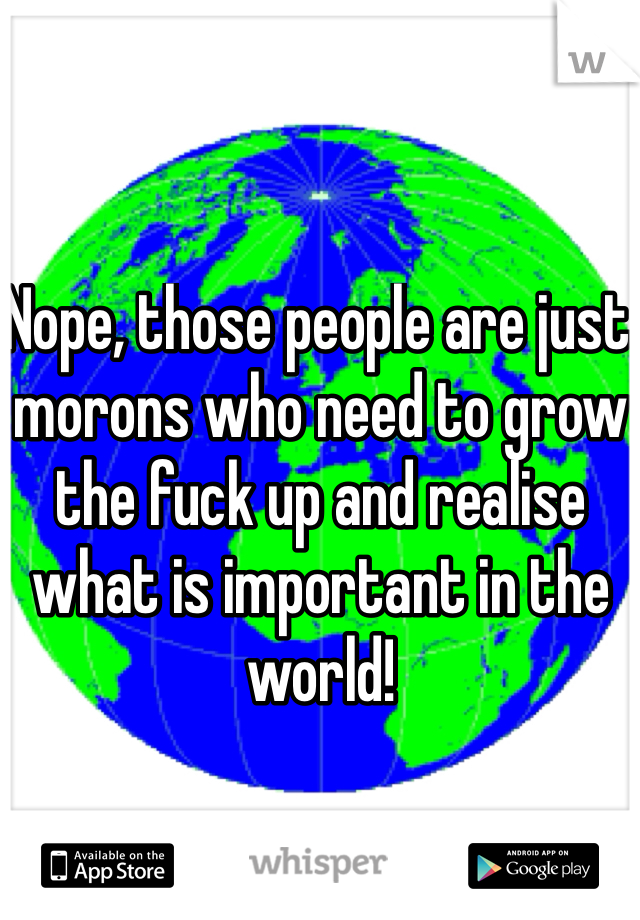 Nope, those people are just morons who need to grow the fuck up and realise what is important in the world! 