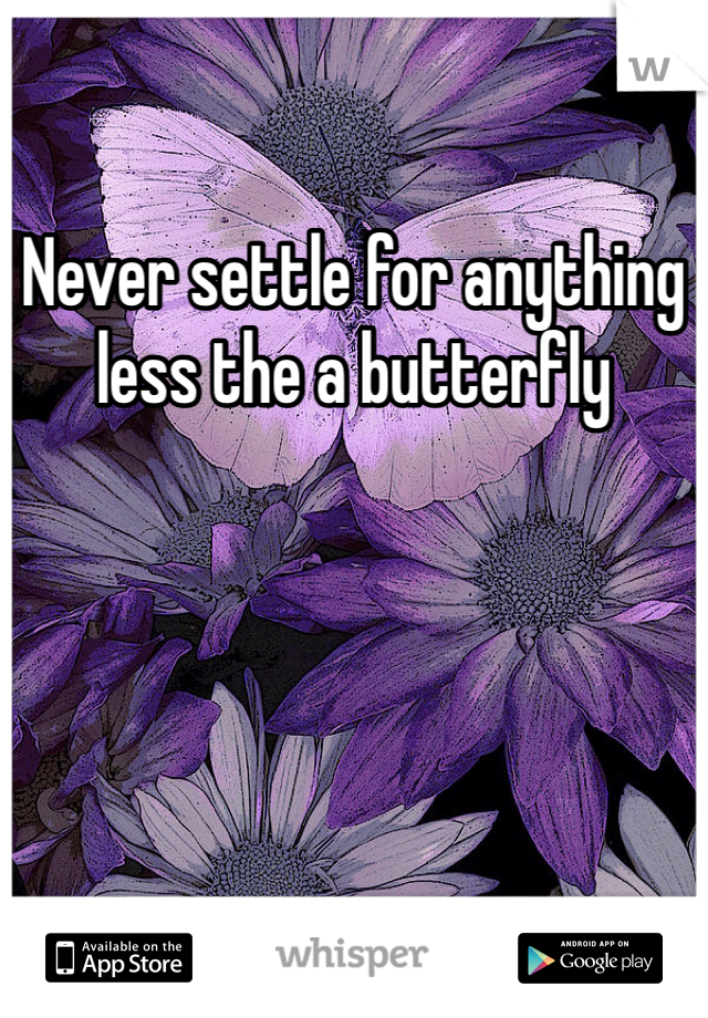 Never settle for anything less the a butterfly