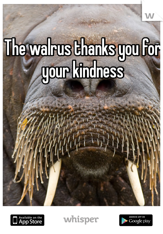 The walrus thanks you for your kindness