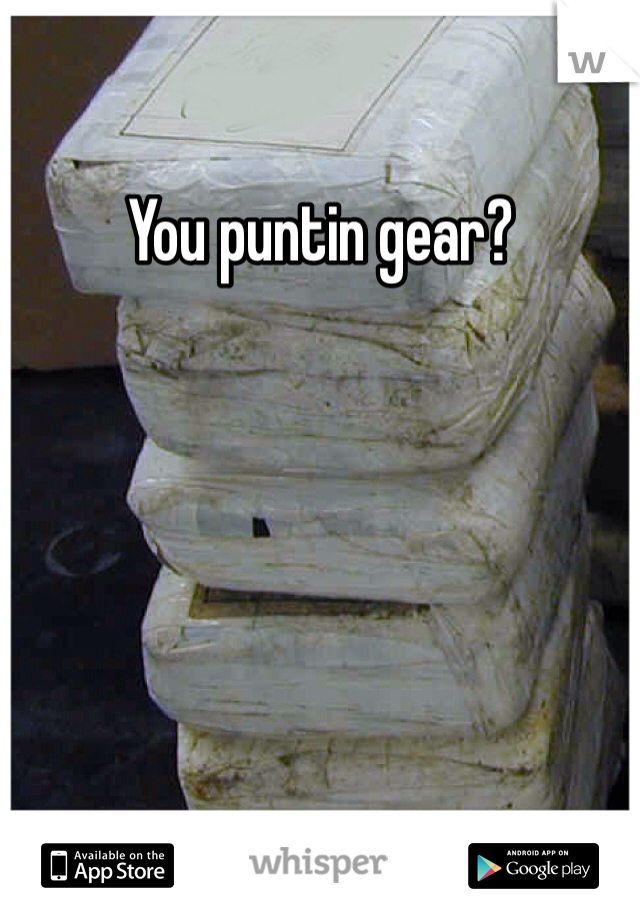 You puntin gear?