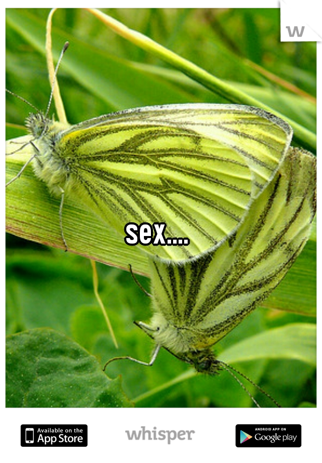 sex.... 

