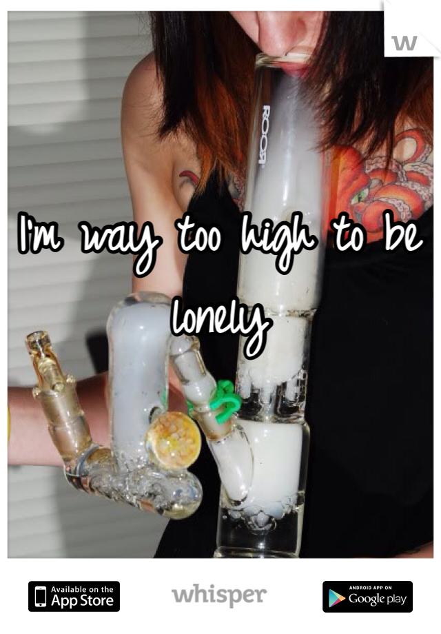 I'm way too high to be lonely 