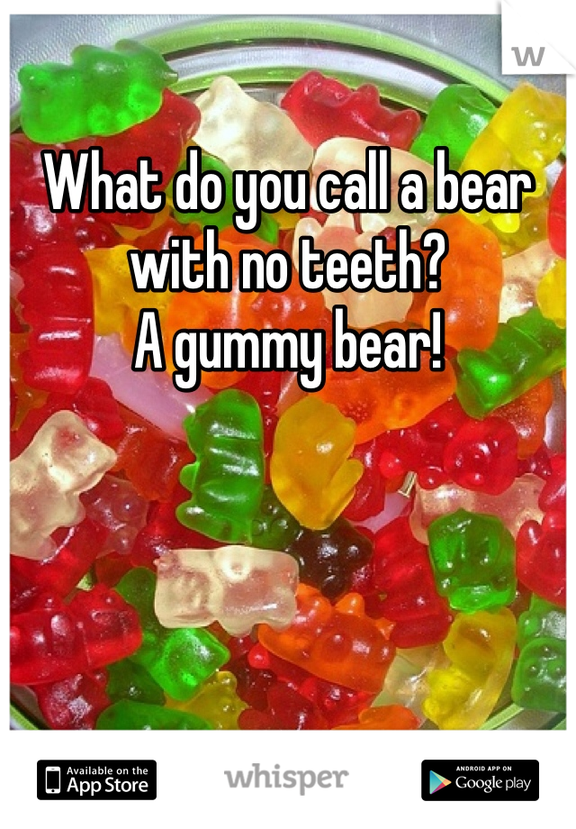 What do you call a bear with no teeth? 
A gummy bear!