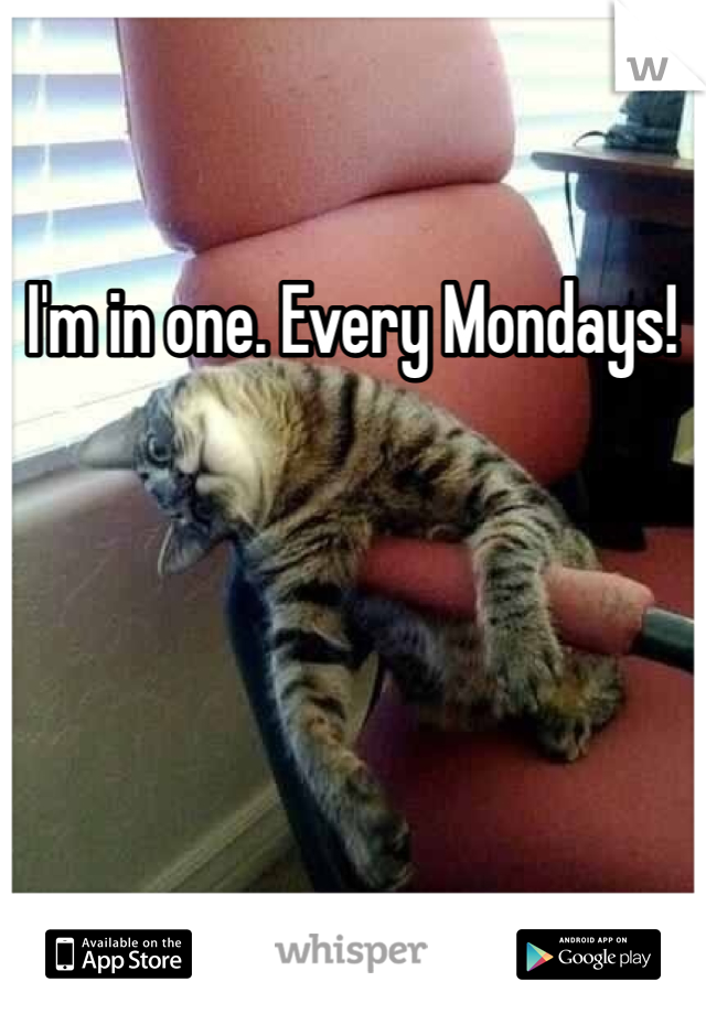 I'm in one. Every Mondays!