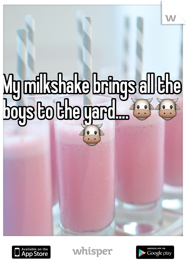 My milkshake brings all the boys to the yard....🐮🐮🐮