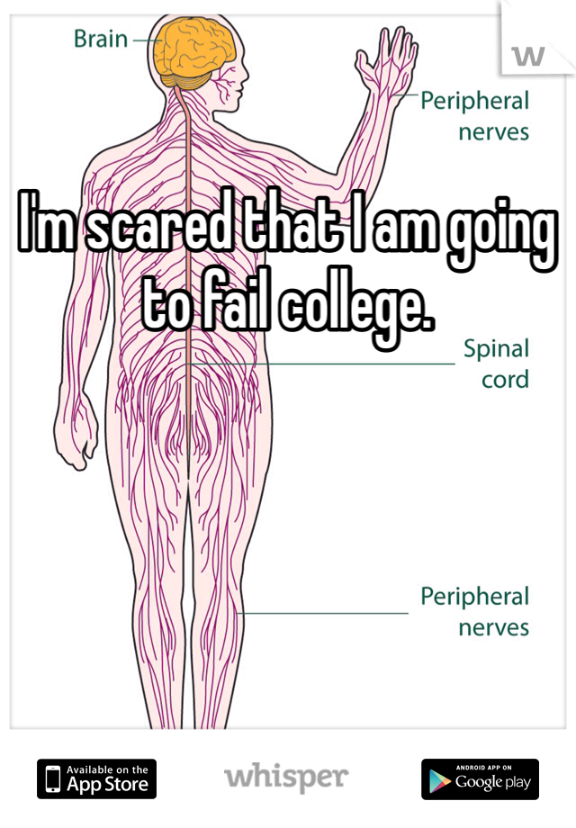 I'm scared that I am going to fail college.
