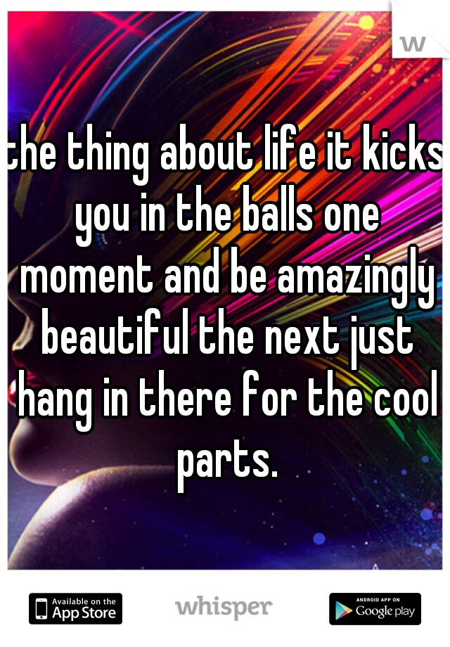 the thing about life it kicks you in the balls one moment and be amazingly beautiful the next just hang in there for the cool parts.