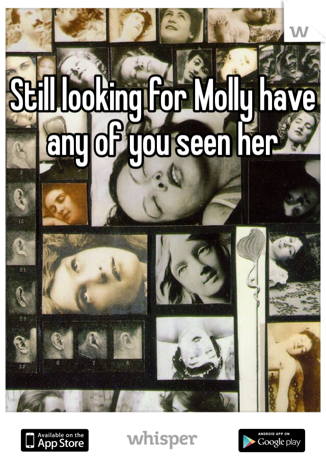 Still looking for Molly have any of you seen her 
