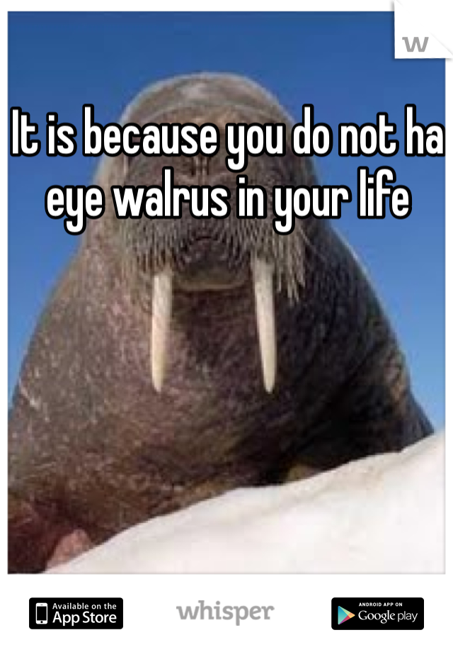 It is because you do not ha eye walrus in your life