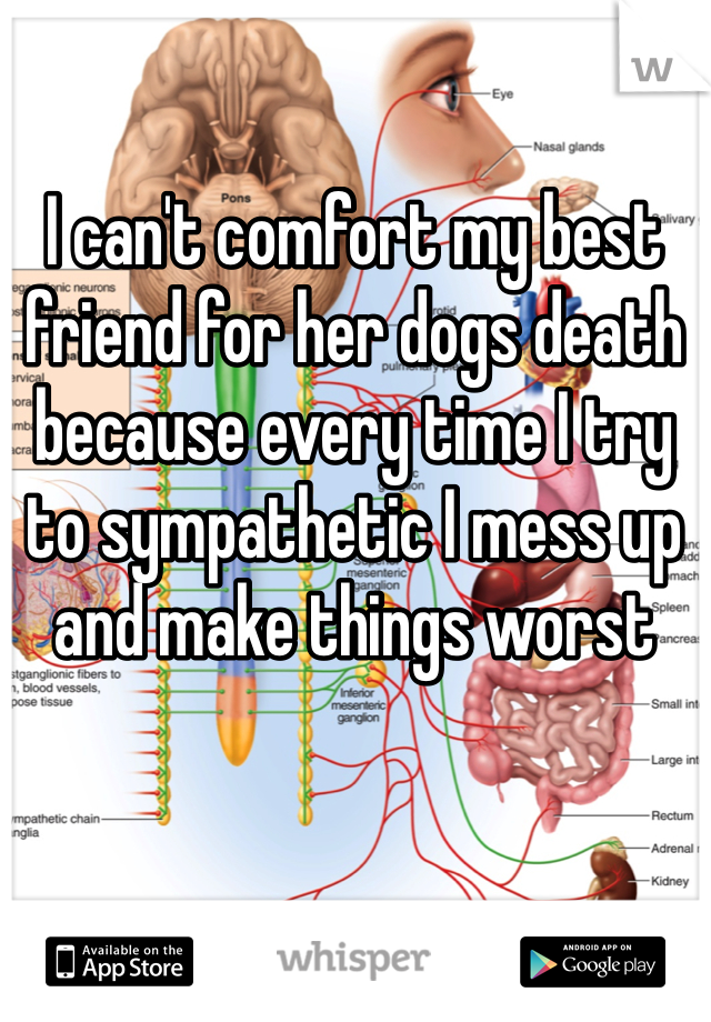 I can't comfort my best friend for her dogs death because every time I try to sympathetic I mess up and make things worst