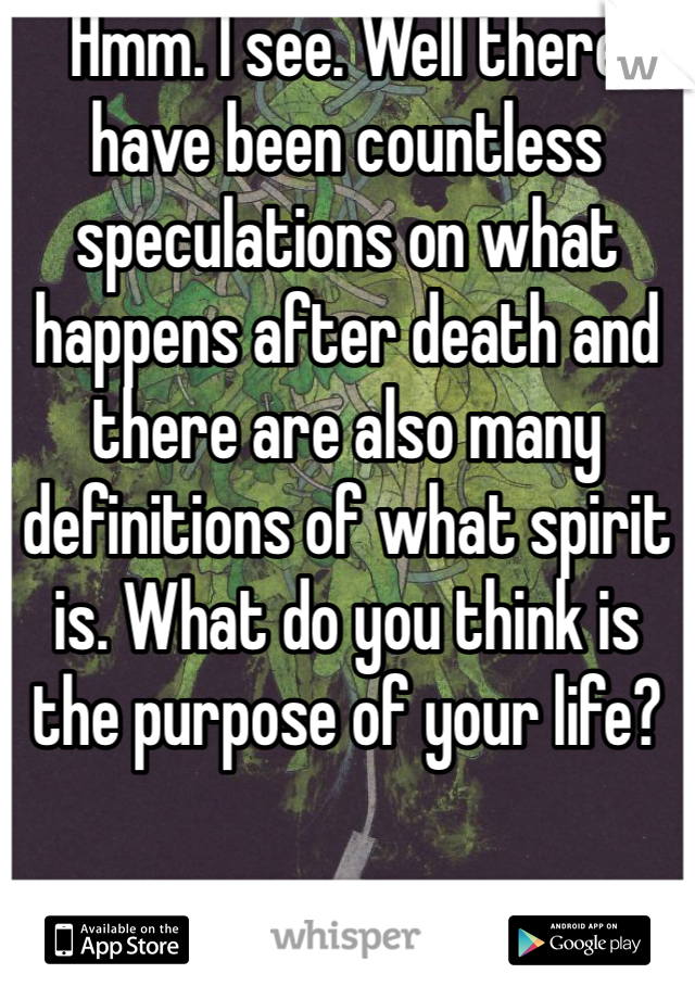 Hmm. I see. Well there have been countless speculations on what happens after death and there are also many definitions of what spirit is. What do you think is the purpose of your life? 