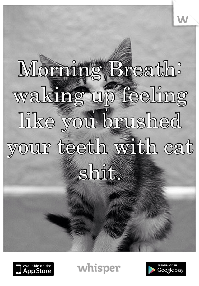 Morning Breath: waking up feeling like you brushed your teeth with cat shit. 