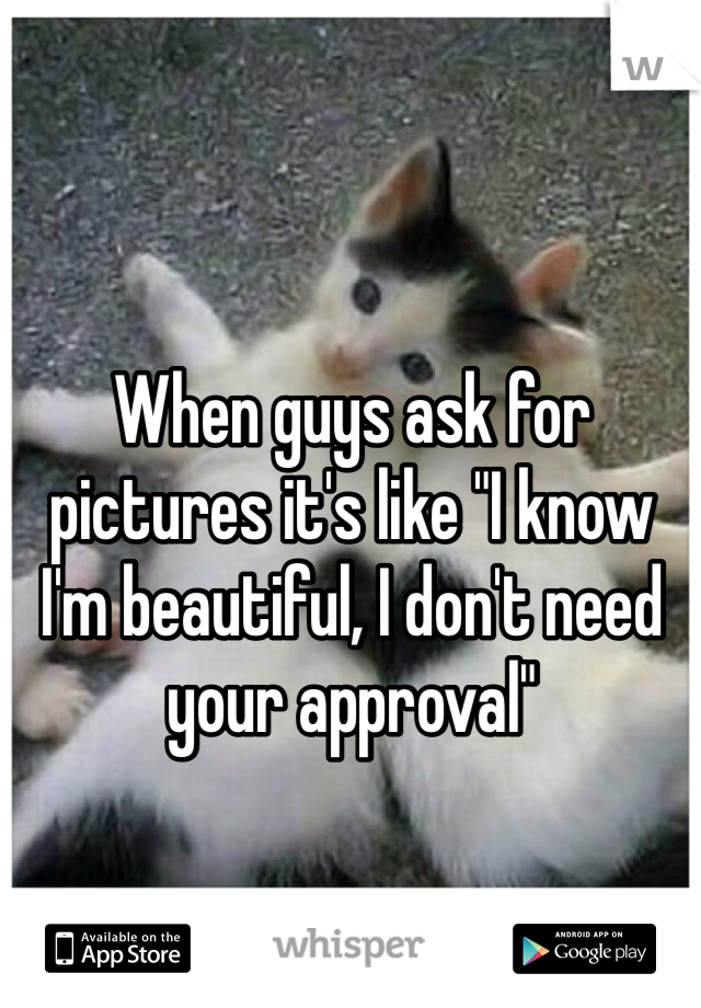 When guys ask for pictures it's like "I know I'm beautiful, I don't need your approval"