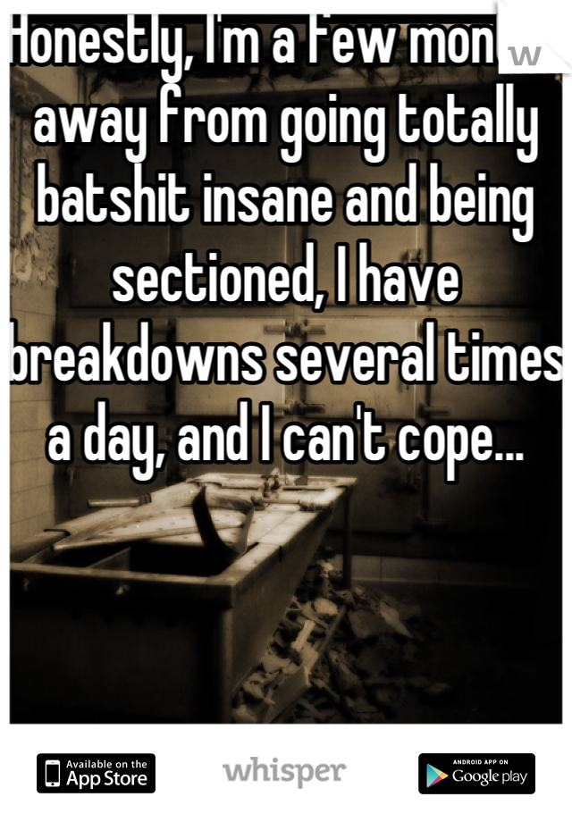Honestly, I'm a few months away from going totally batshit insane and being sectioned, I have breakdowns several times a day, and I can't cope...