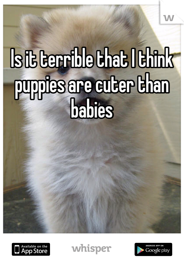 Is it terrible that I think puppies are cuter than babies 