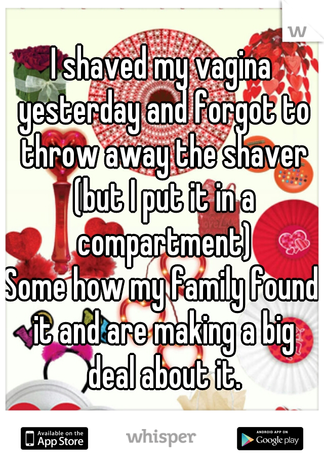 I shaved my vagina yesterday and forgot to throw away the shaver (but I put it in a compartment)
Some how my family found it and are making a big deal about it.