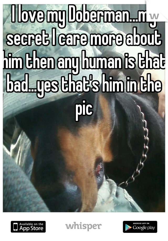 I love my Doberman...my secret I care more about him then any human is that bad...yes that's him in the pic