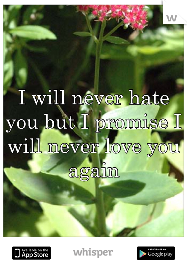 I will never hate you but I promise I will never love you again