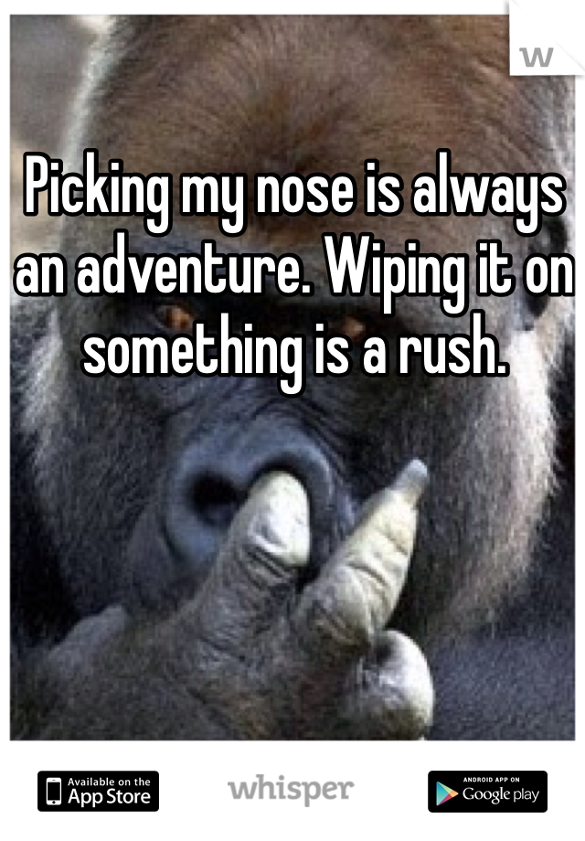 Picking my nose is always an adventure. Wiping it on something is a rush.