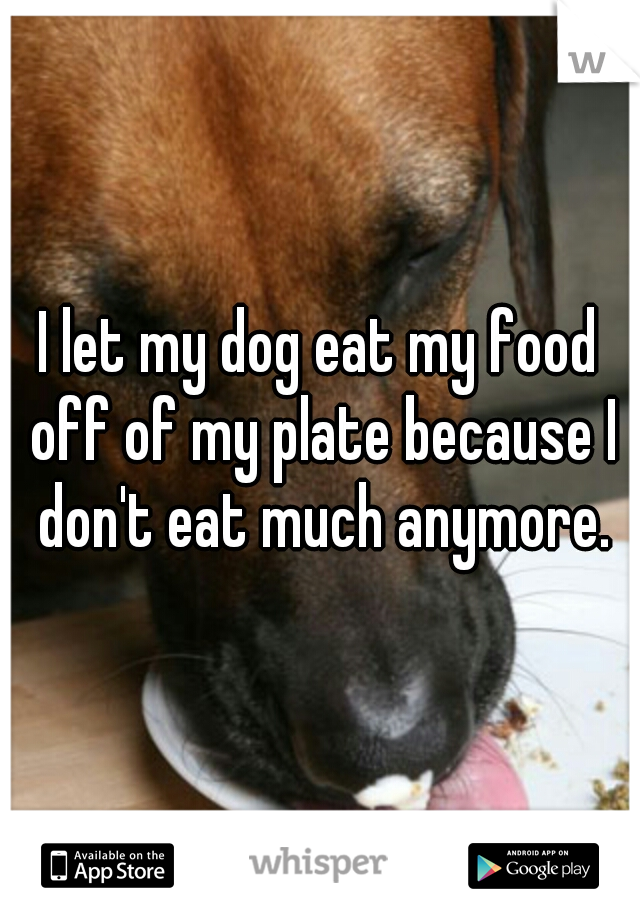 I let my dog eat my food off of my plate because I don't eat much anymore.
