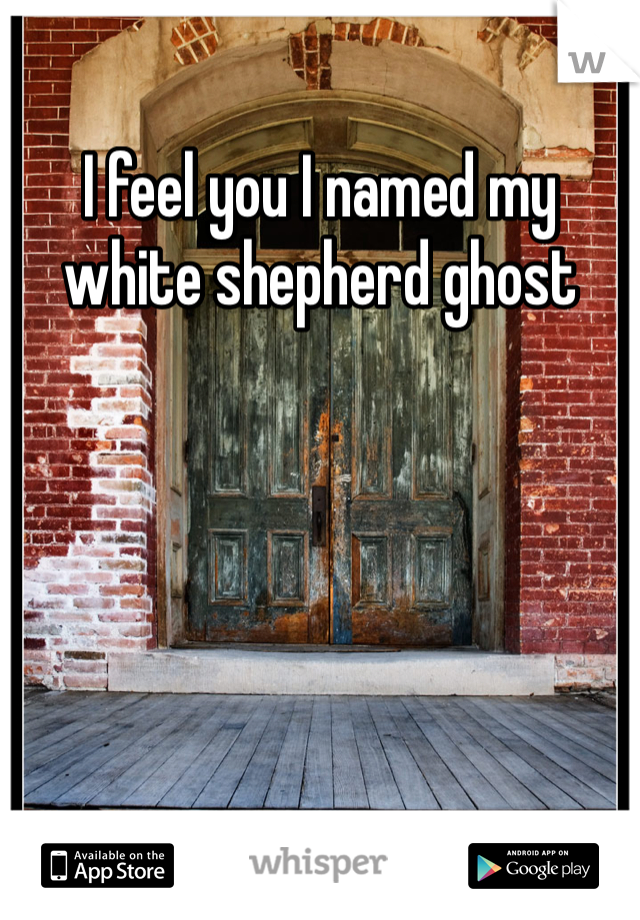 I feel you I named my white shepherd ghost