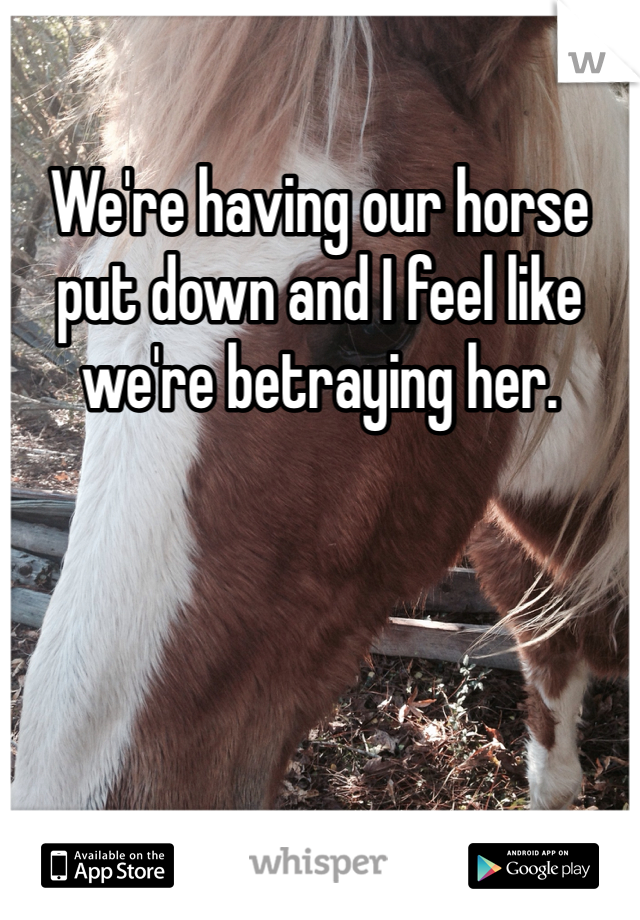 We're having our horse put down and I feel like we're betraying her.