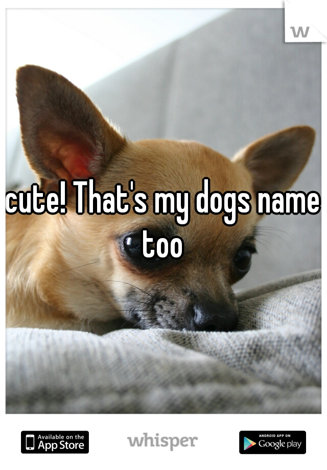 cute! That's my dogs name too 