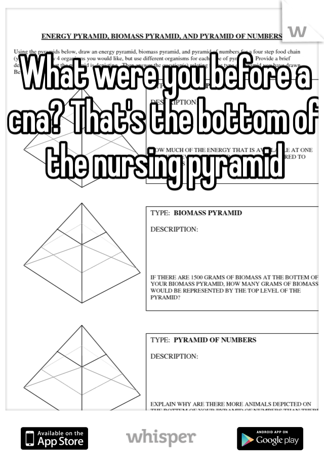 What were you before a cna? That's the bottom of the nursing pyramid 