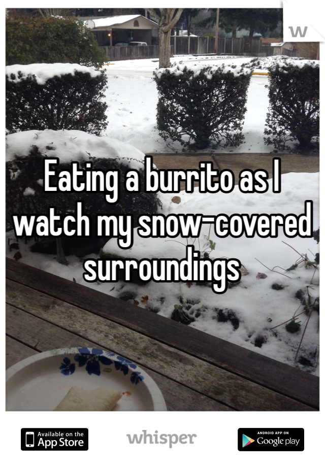 Eating a burrito as I watch my snow-covered surroundings
