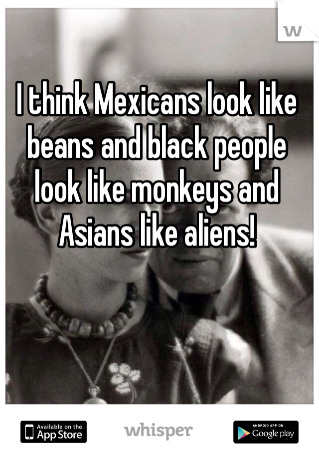 I think Mexicans look like beans and black people look like monkeys and Asians like aliens!