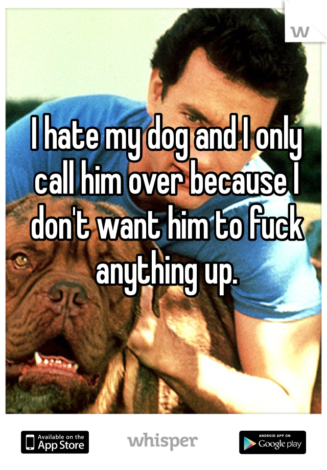 I hate my dog and I only call him over because I don't want him to fuck anything up. 