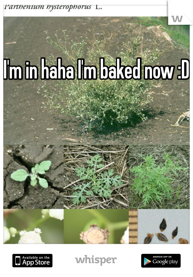 I'm in haha I'm baked now :D