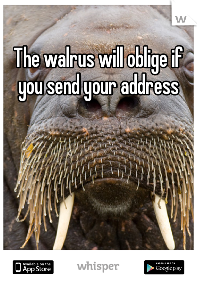 The walrus will oblige if you send your address