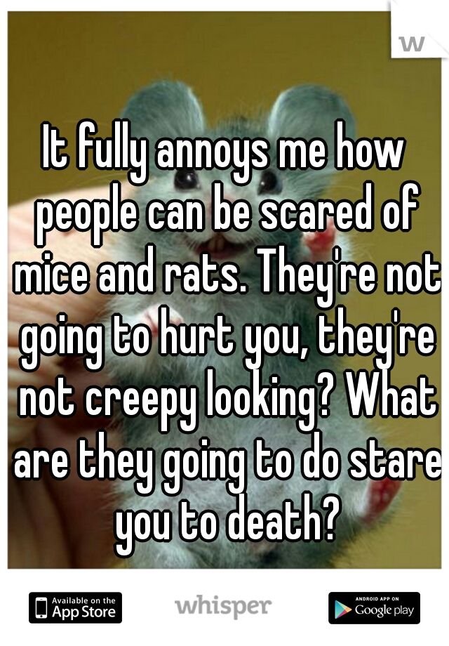 It fully annoys me how people can be scared of mice and rats. They're not going to hurt you, they're not creepy looking? What are they going to do stare you to death?