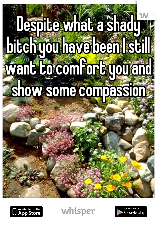 Despite what a shady bitch you have been I still want to comfort you and show some compassion