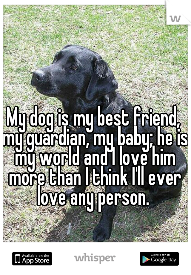 My dog is my best friend, my guardian, my baby; he is my world and I love him more than I think I'll ever love any person. 